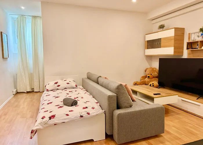 Spacious Stone Apartment *